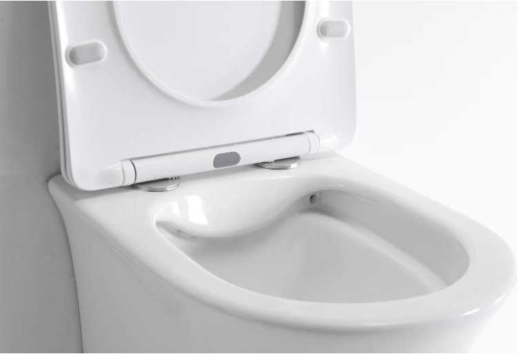 BF2441 Wall-Hung Toilet with Compact Curved Design and Soft-Close Seat