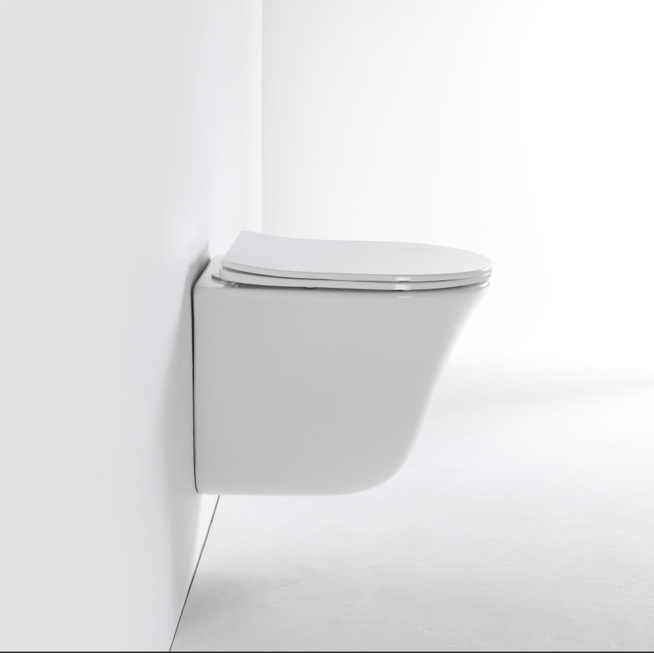 2441D Counterbalance Wall-Hung Toilet Modern Concealed Tank WC