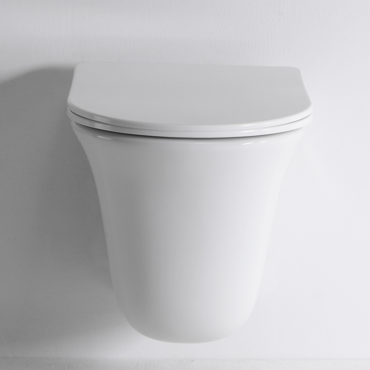 2441D Modern Wall Hung Toilet Ceramic Rimless Floating WC with Soft Close Seat