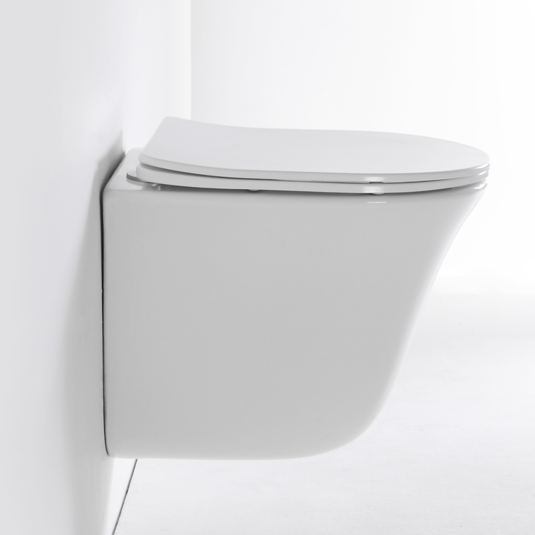 2441D Modern Wall Hung Toilet Ceramic Rimless Floating WC with Soft Close Seat