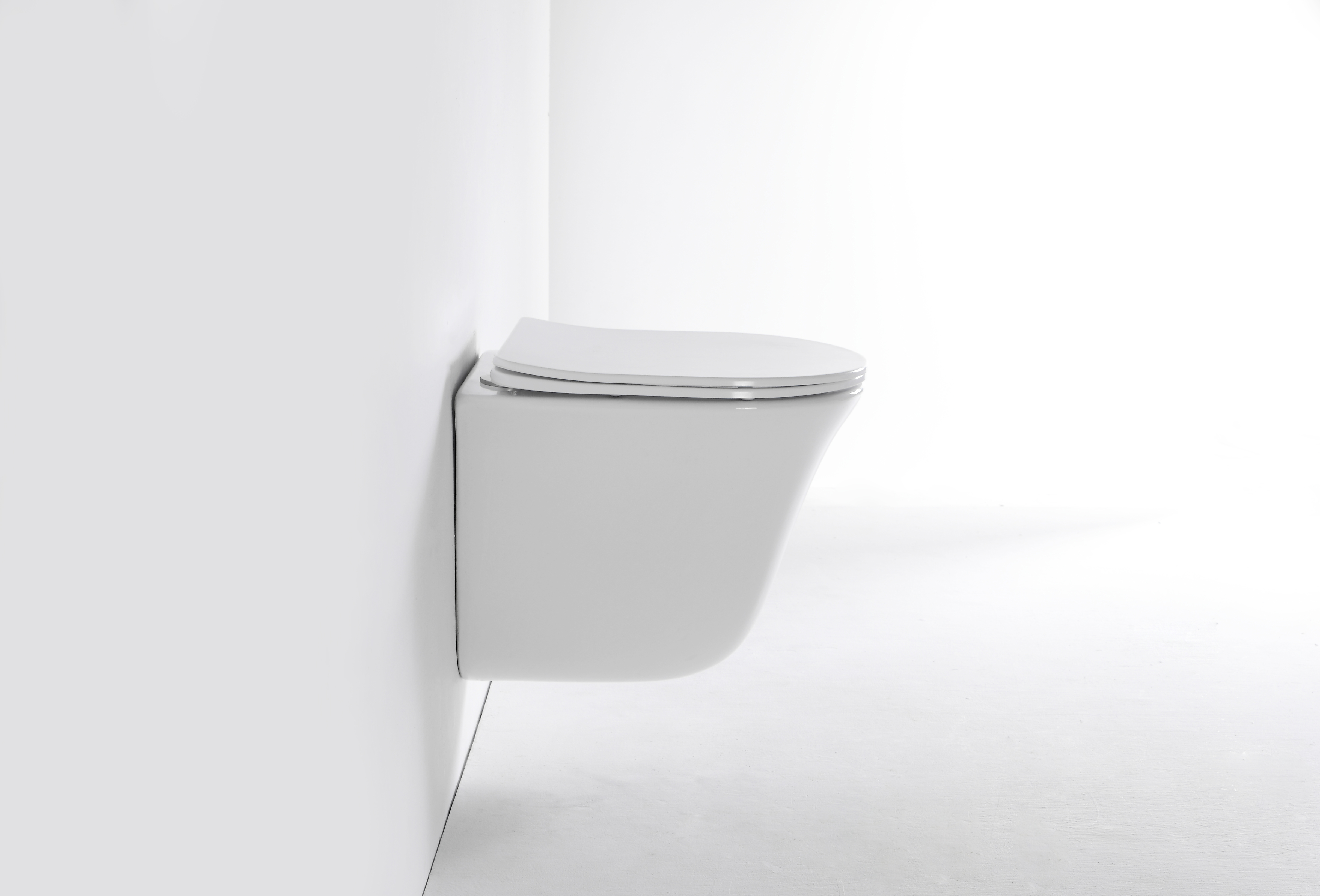 Wall-Hung Toilet 2441D - Rimless Hygienic Design with Soft Close Seat