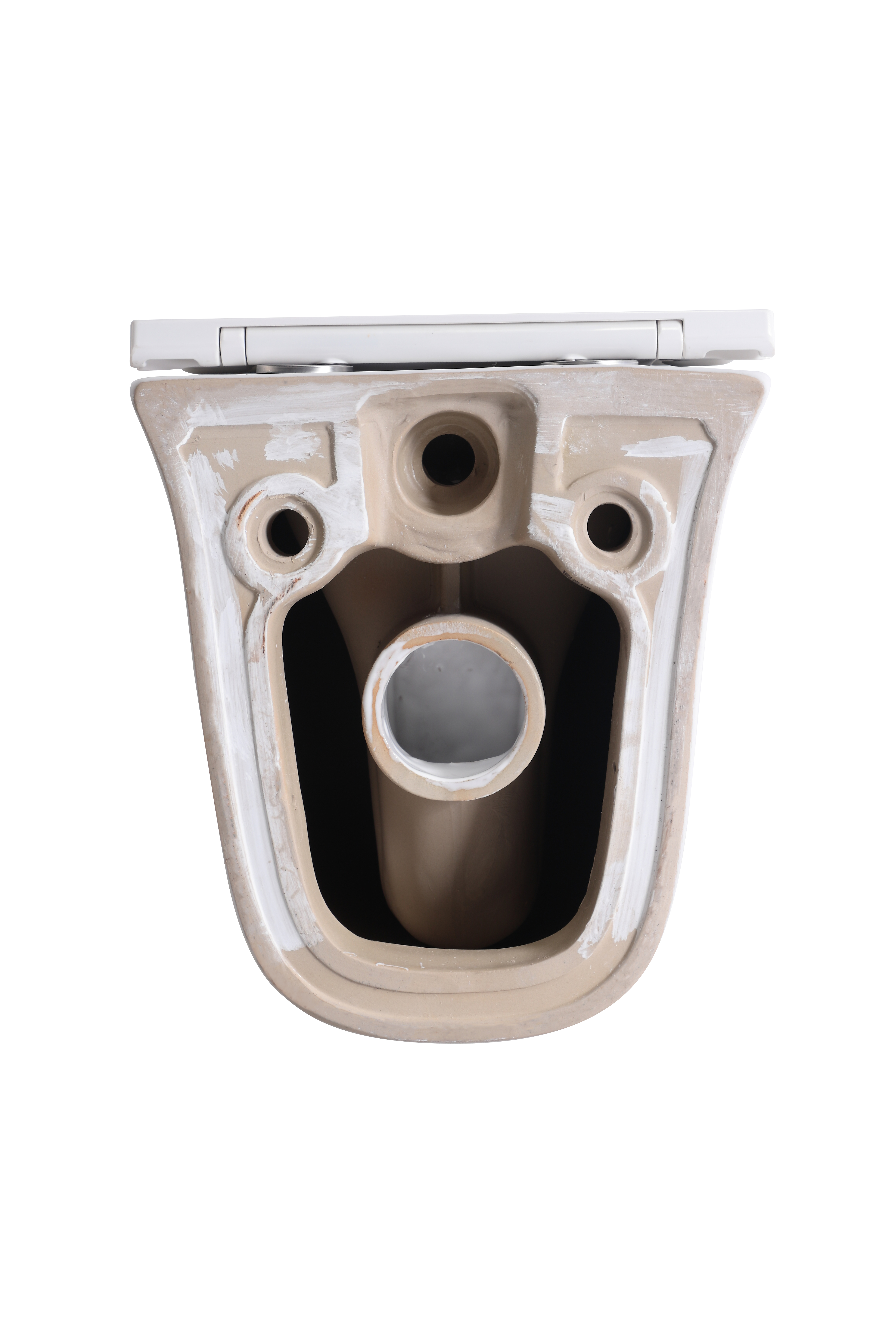 2441D Modern Wall Hung Toilet Ceramic Rimless Floating WC with Soft Close Seat