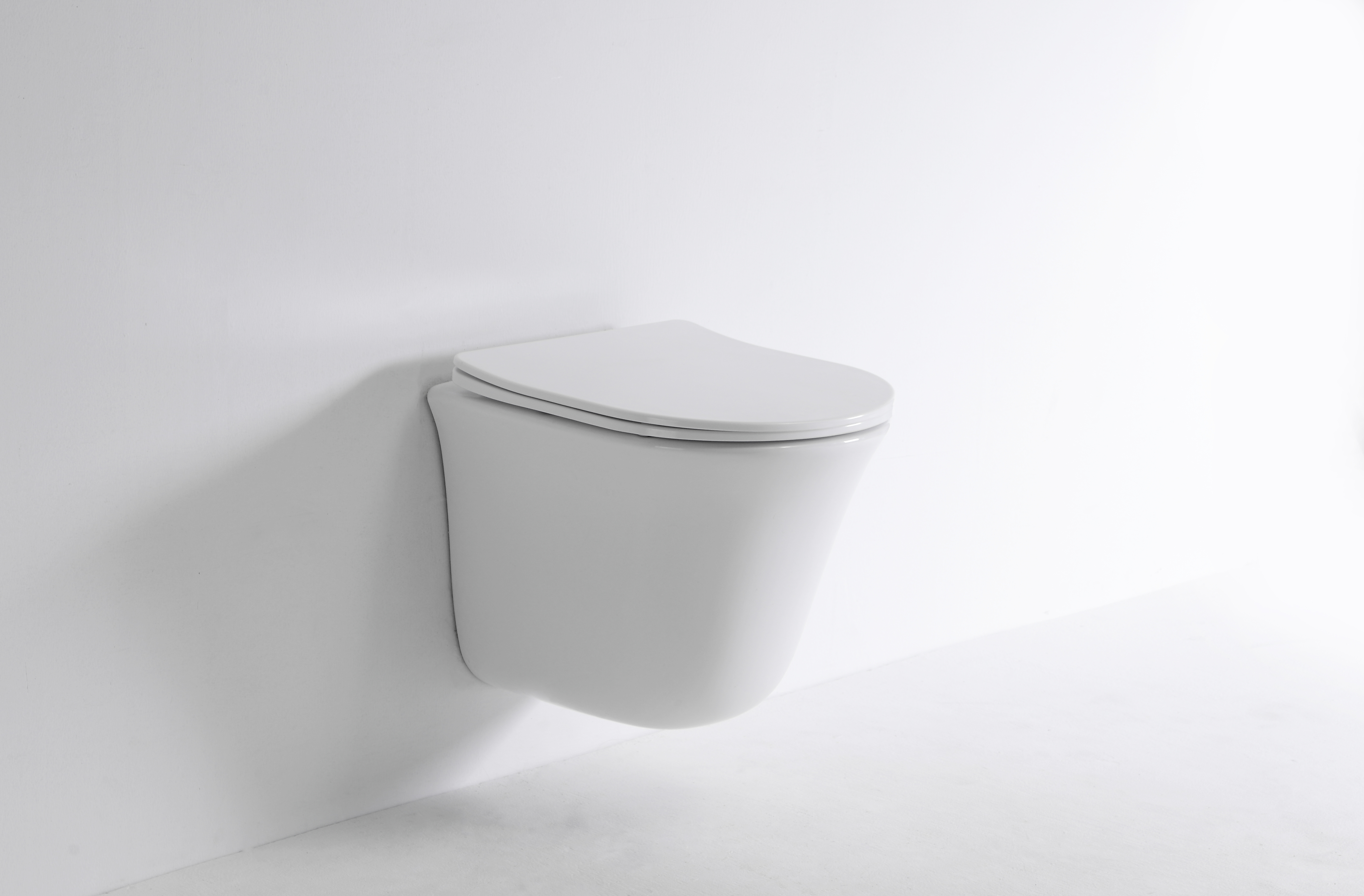 2441D Modern Wall Hung Toilet Ceramic Rimless Floating WC with Soft Close Seat