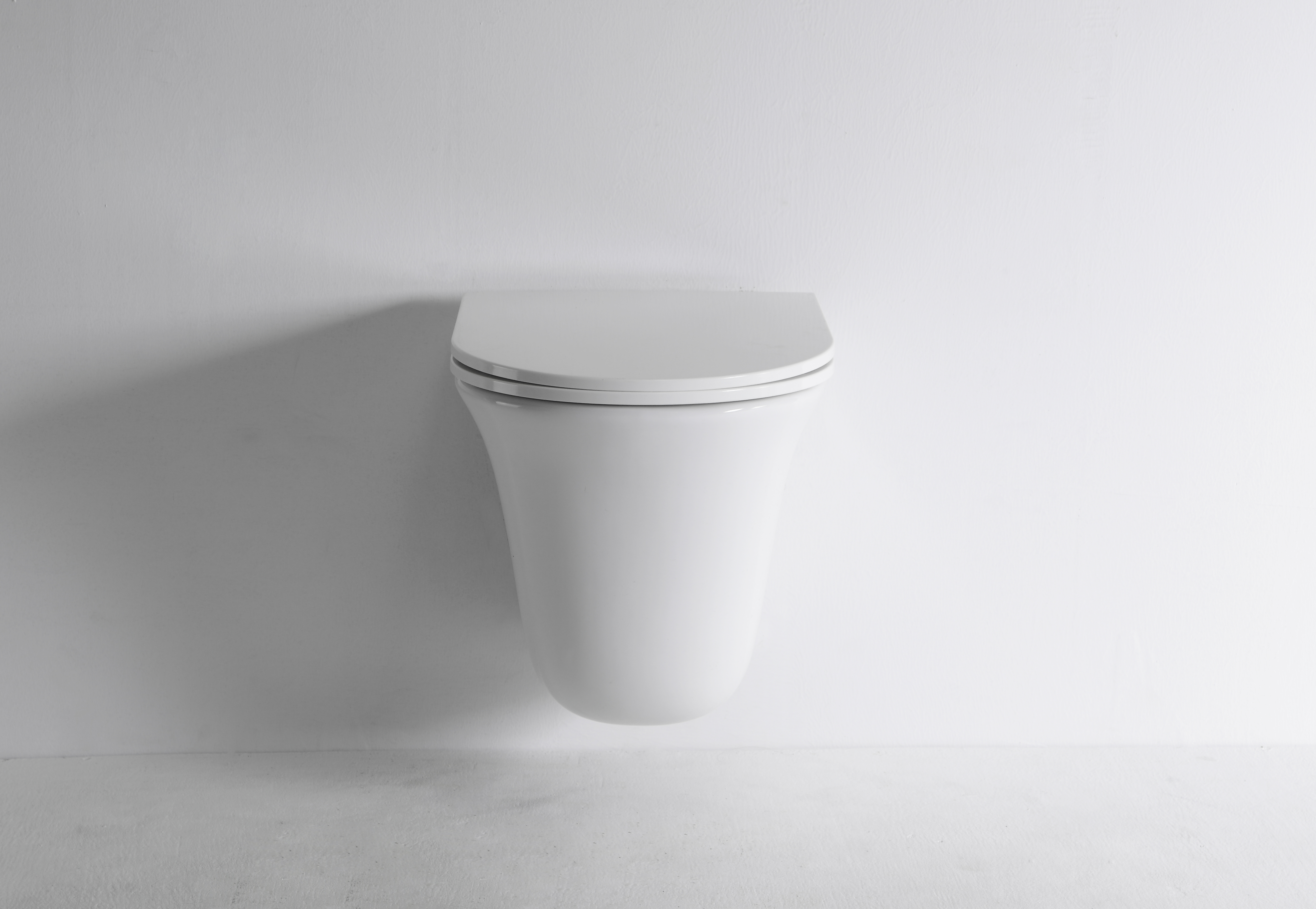 2441D Modern Wall Hung Toilet Ceramic Rimless Floating WC with Soft Close Seat