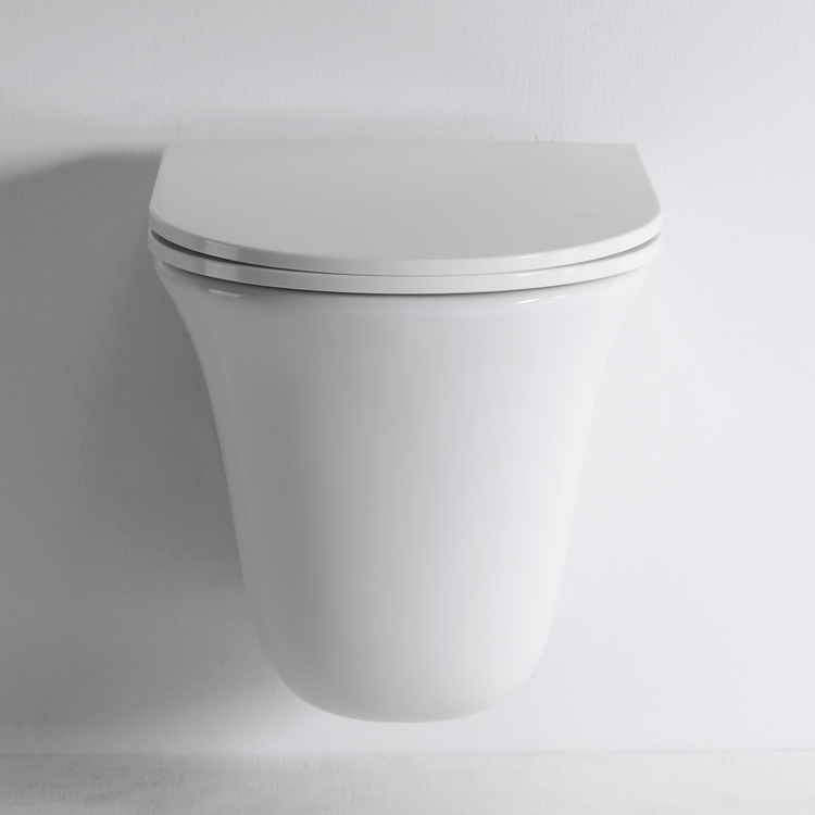 Elegant Round Wall-Hung Toilet 2441E – Rimless, Quiet, Space-Saving Ceramic WC