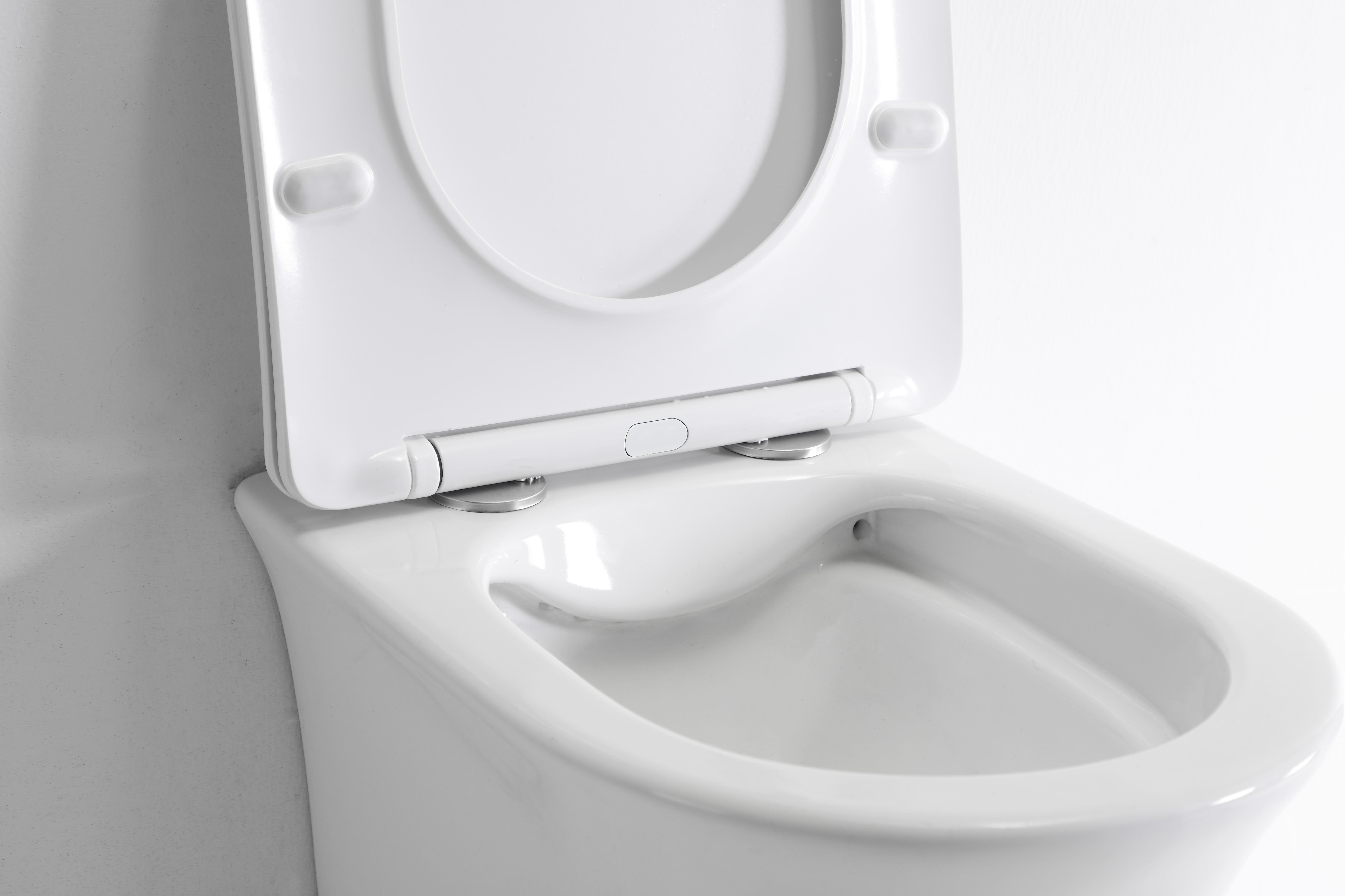 Wall-Hung Toilet 2441D - Rimless Hygienic Design with Soft Close Seat