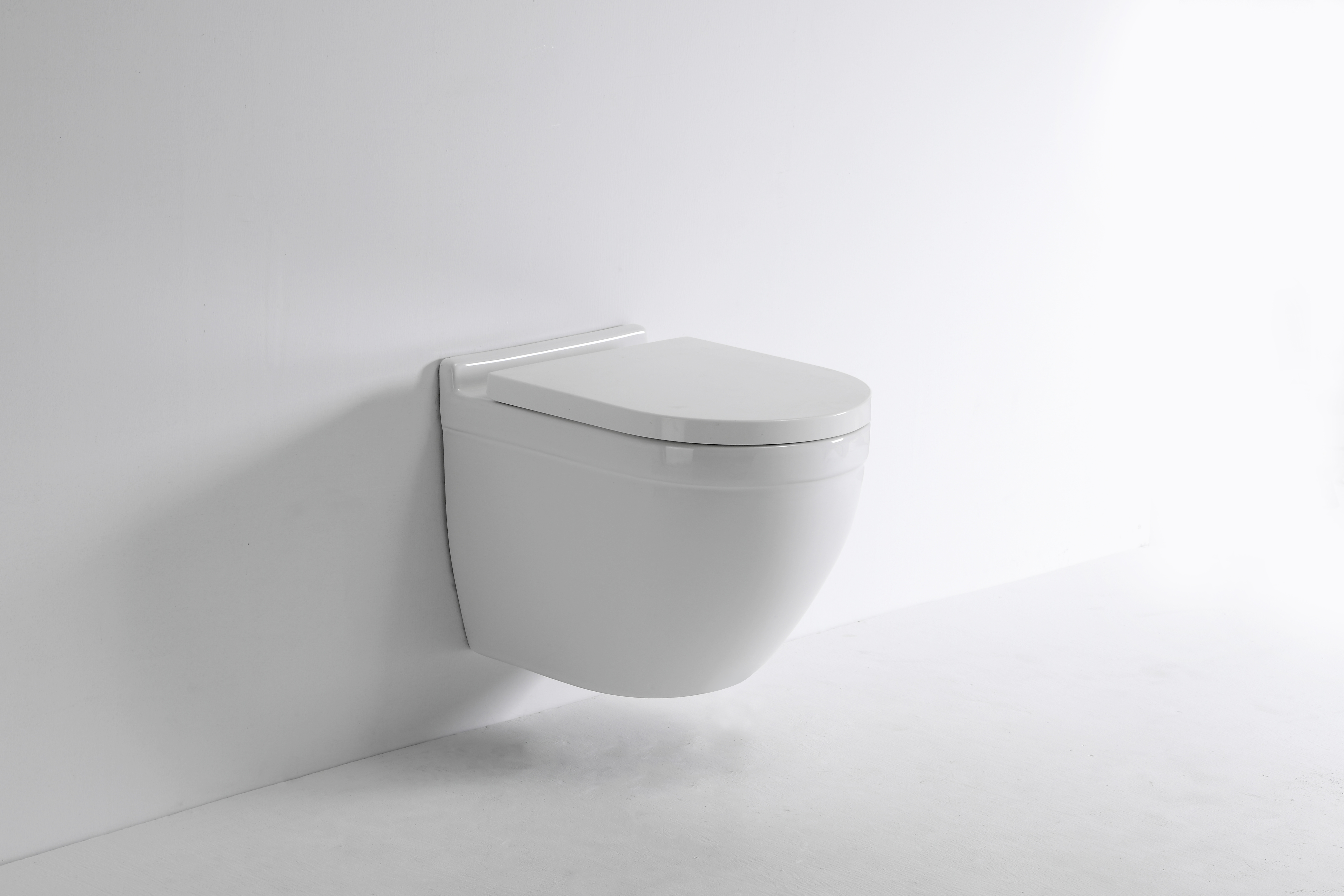 2422 Wall-Mounted Toilet for Modern Bathrooms | Space-Saving Design