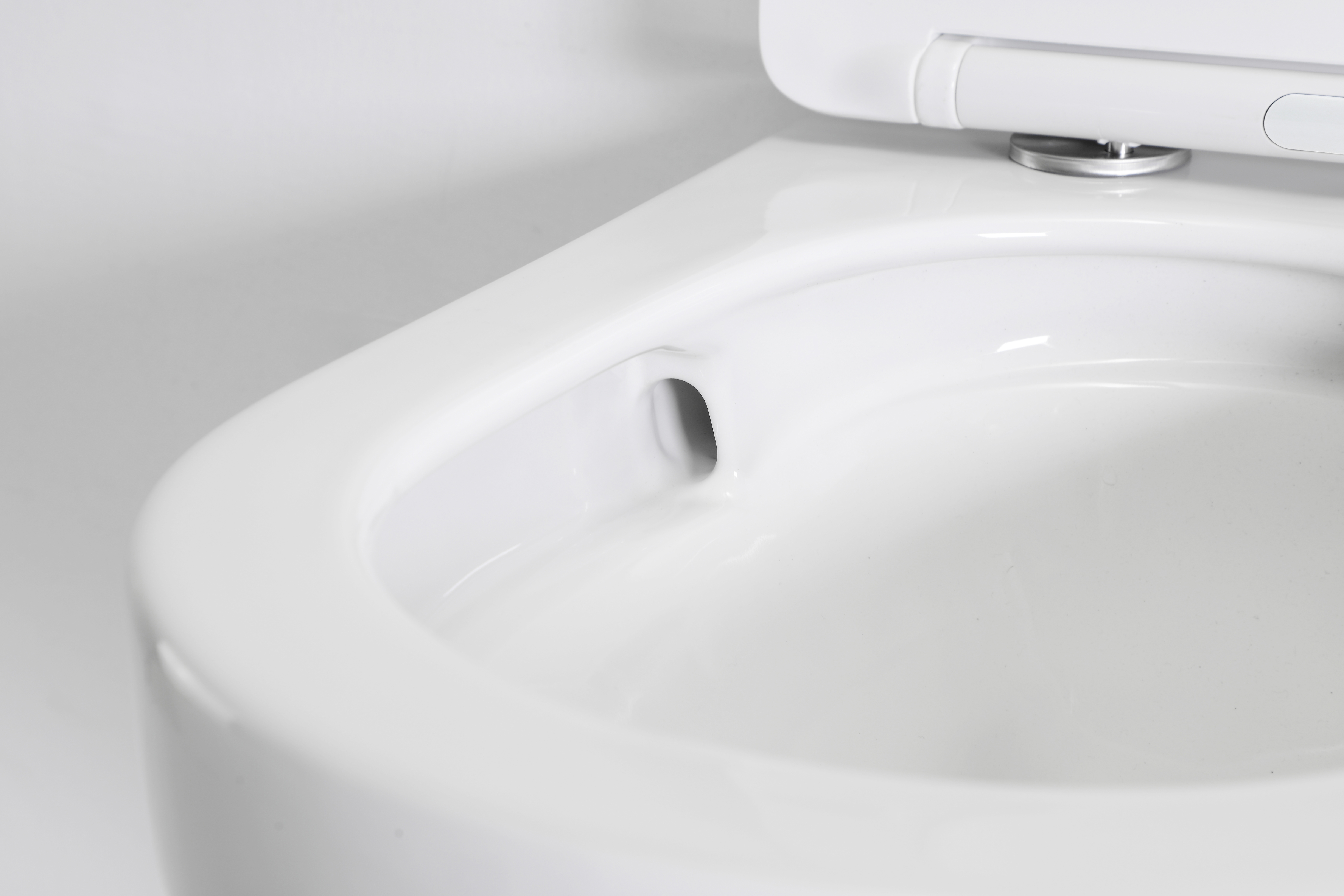 Wall Hung Toilet 2462D - Modern Ceramic Rimless Dual Flush WC