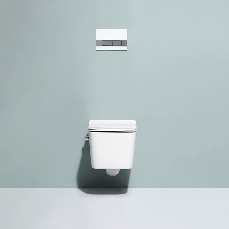 BF2467 Rimless Wall Hung Toilet Washdown Ceramic WC with Soft Close UF Seat