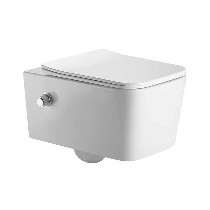 2467D-BD Vaso Sanitário Suspenso com Bide Feminino Integrado
