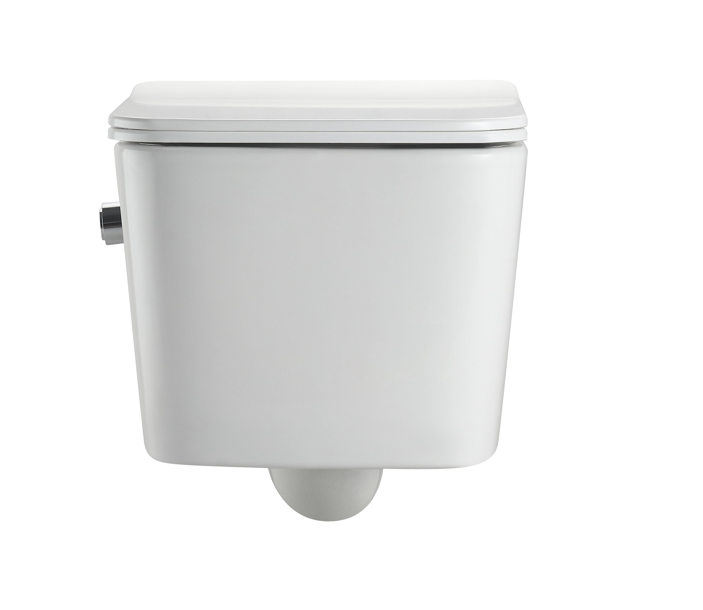 2467D-BD Rimless Wall Hung Toilet with Built-in Shower