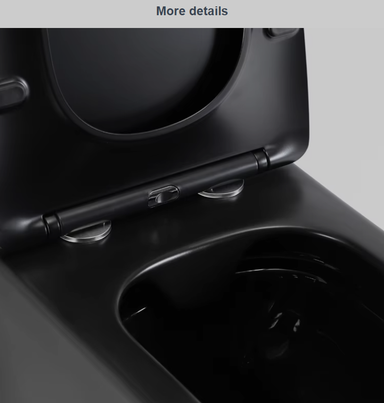 2467DB-MATT Rimless Wall Hung Toilet - Matte Black
