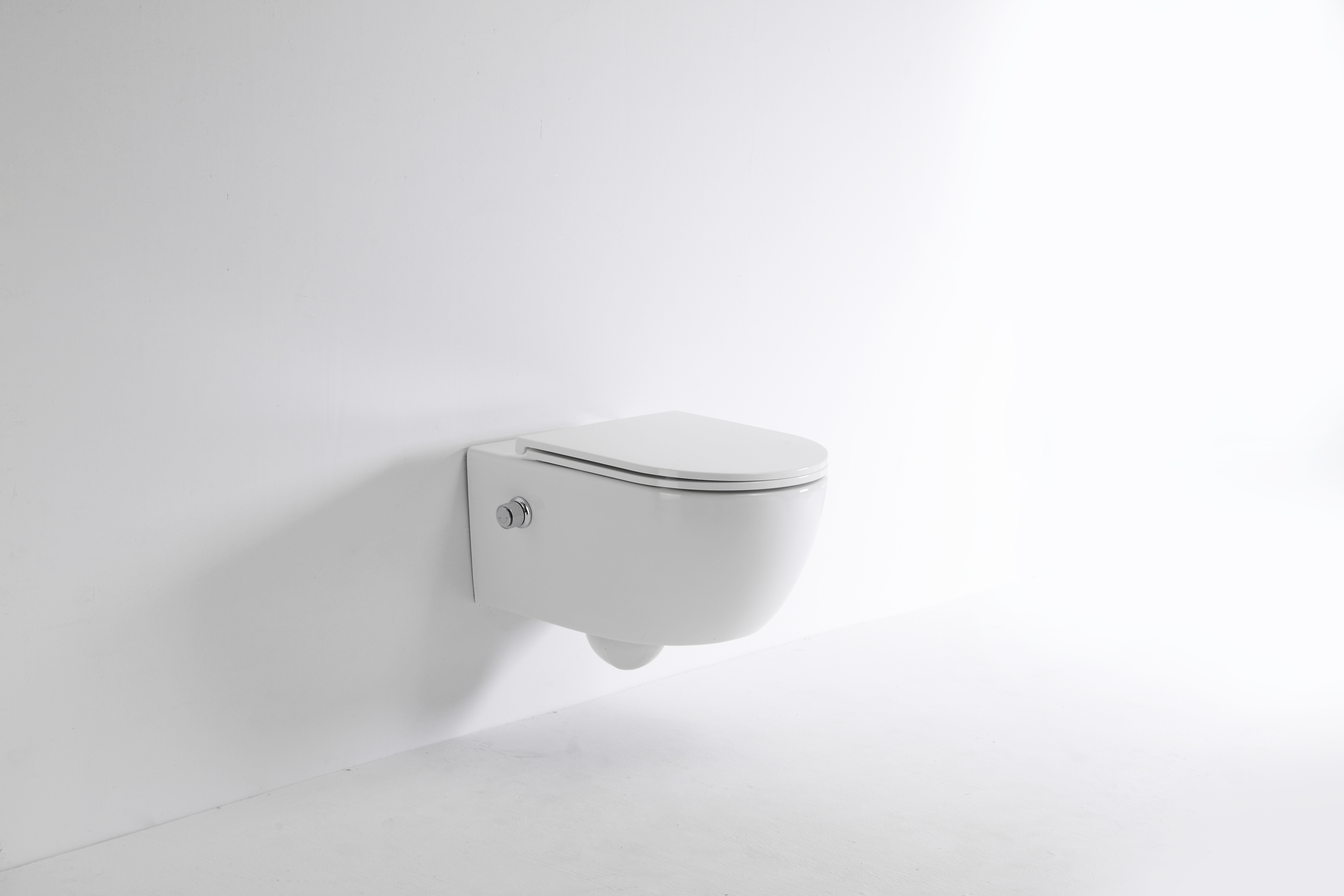 2468E-BD Wall-Hung Toilet with Integrated Bidet – Clean & Comfortable