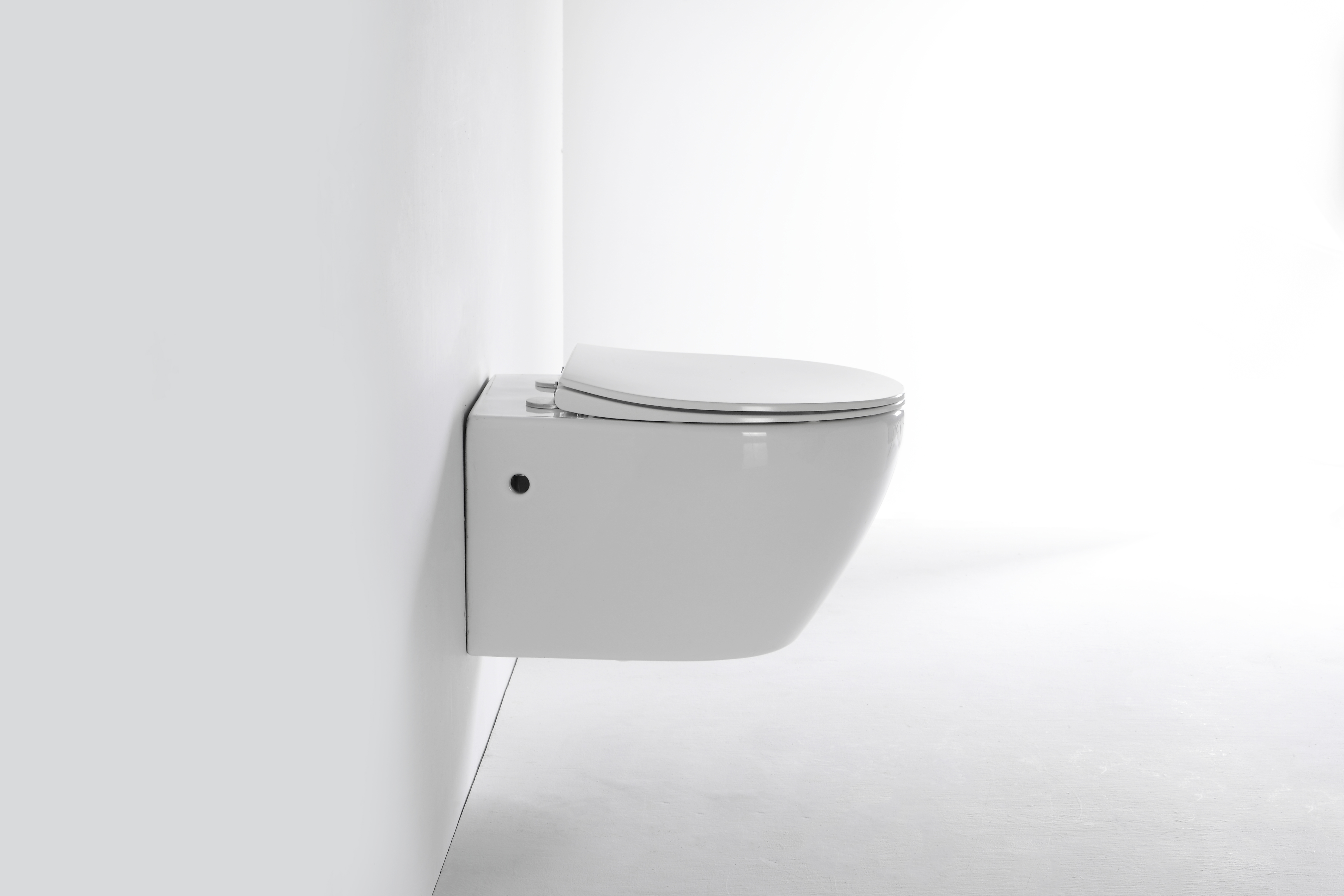 Wall-Hung Toilet 2475D - Oval Design, Soft Close Seat, Water-Saving Dual Flush
