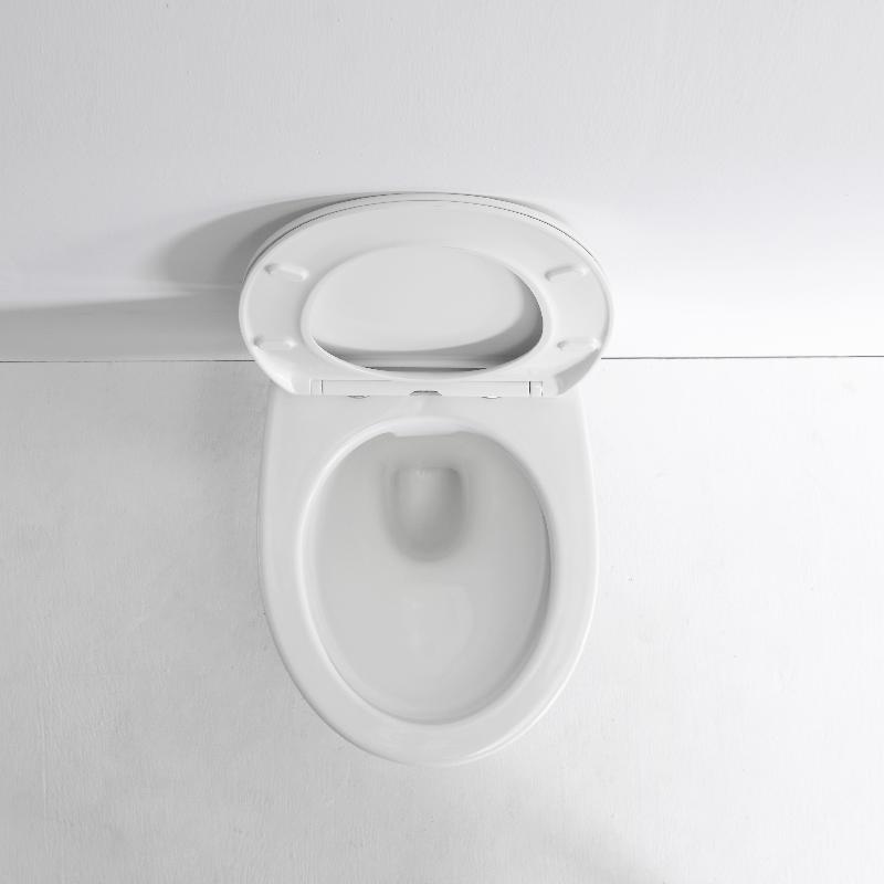 2475D Wall-Hung Toilet – Oval Design, Silent Flush, Rimless, Water-Saving Solution