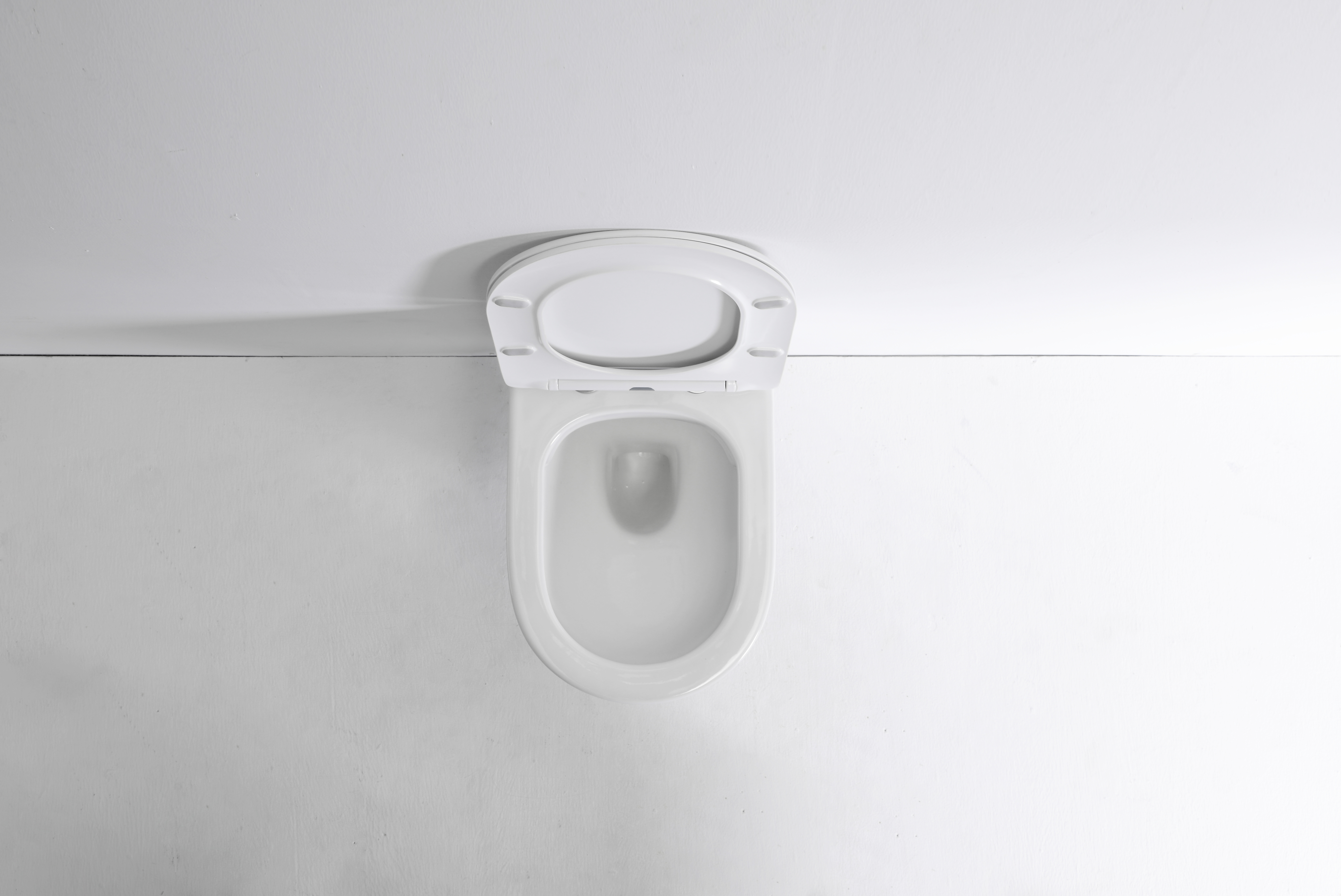 Model 2476D Counterbalance Wall-Hung Toilet – Modern Space-Saving Ceramic WC
