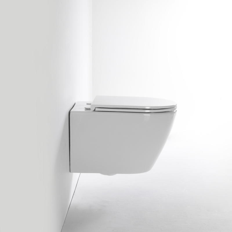 2476E-Wall-Mounted Toilet