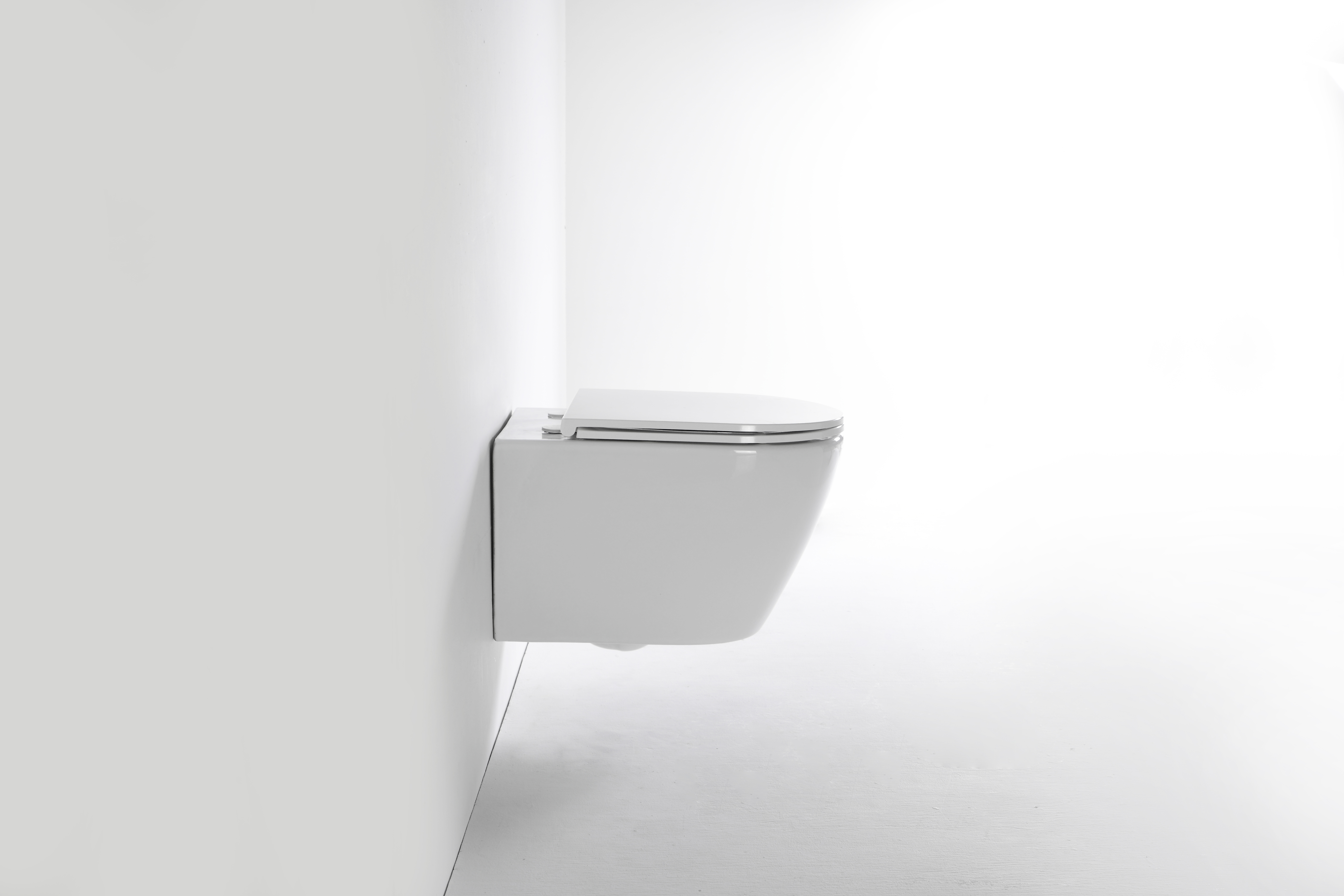 2476E-Wall-Mounted Toilet