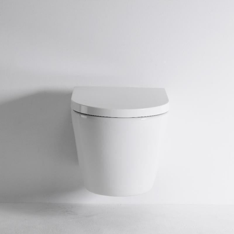 Quiet and Powerful Flushing Ceramic Wall Hung Toilet - Model BF2476