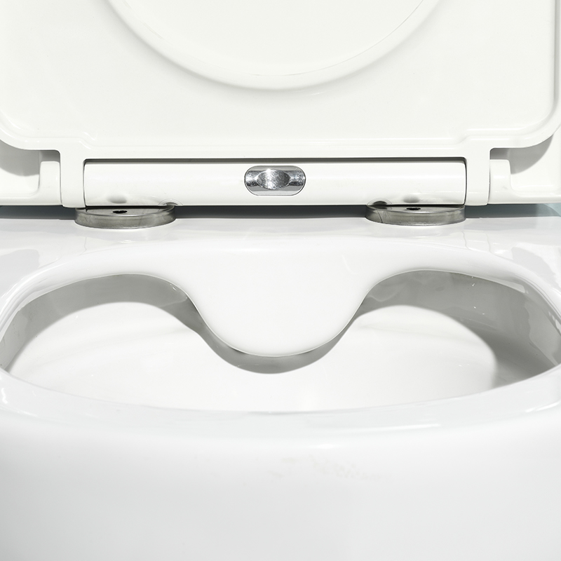 Slim Wall Hung Toilet | Modern Oval Ceramic WC - Model 2478