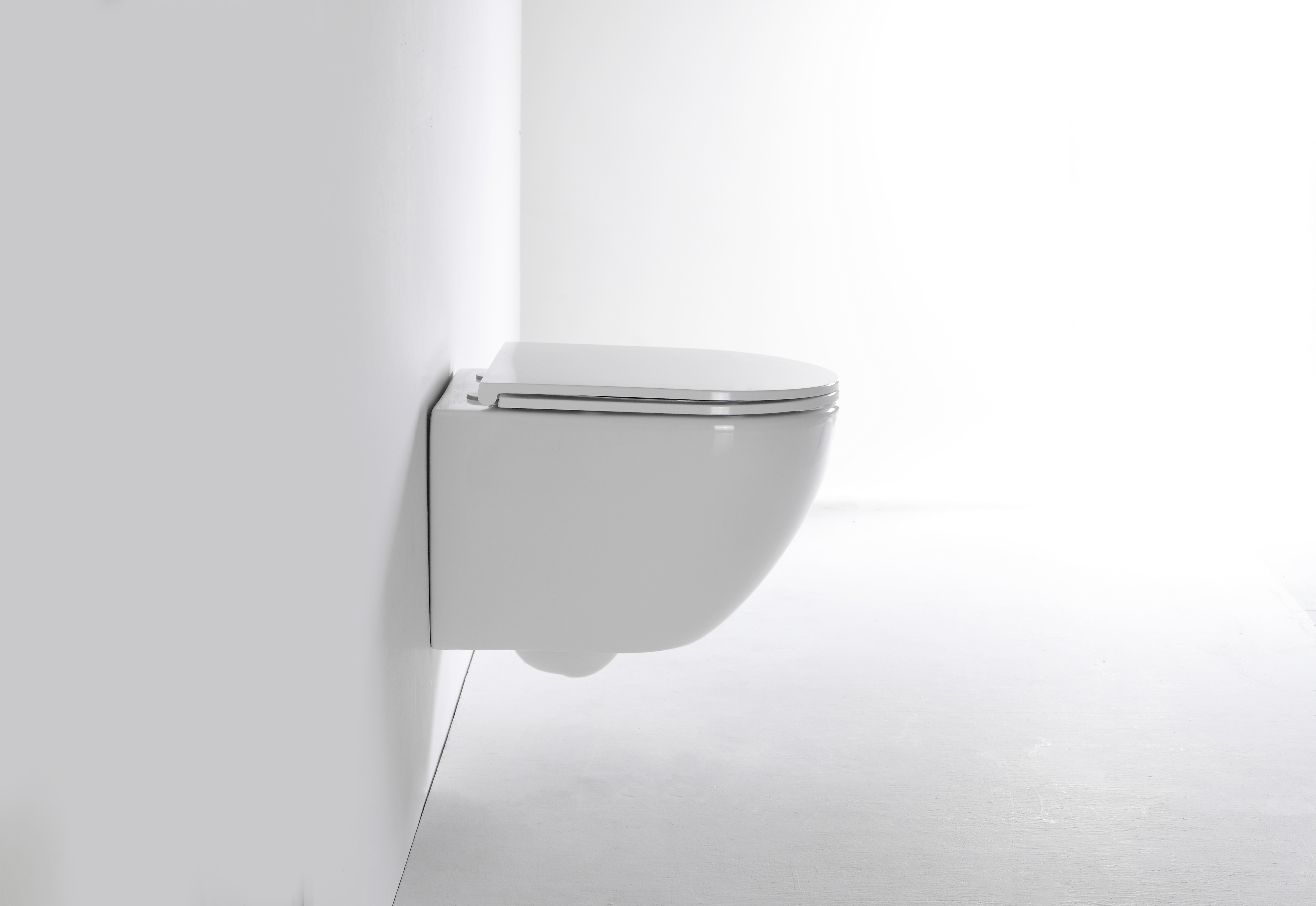 2478E-Wall-Mounted Toilet