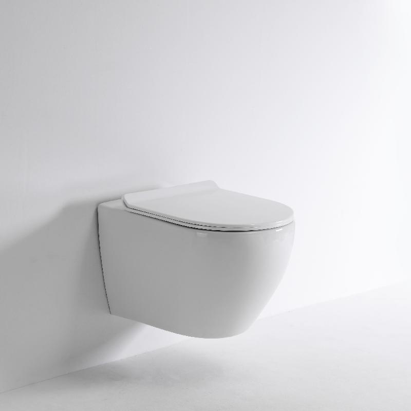 Contemporary Wall Hung Toilet 2479A - Rimless, Soft Close, Space-Saving Design