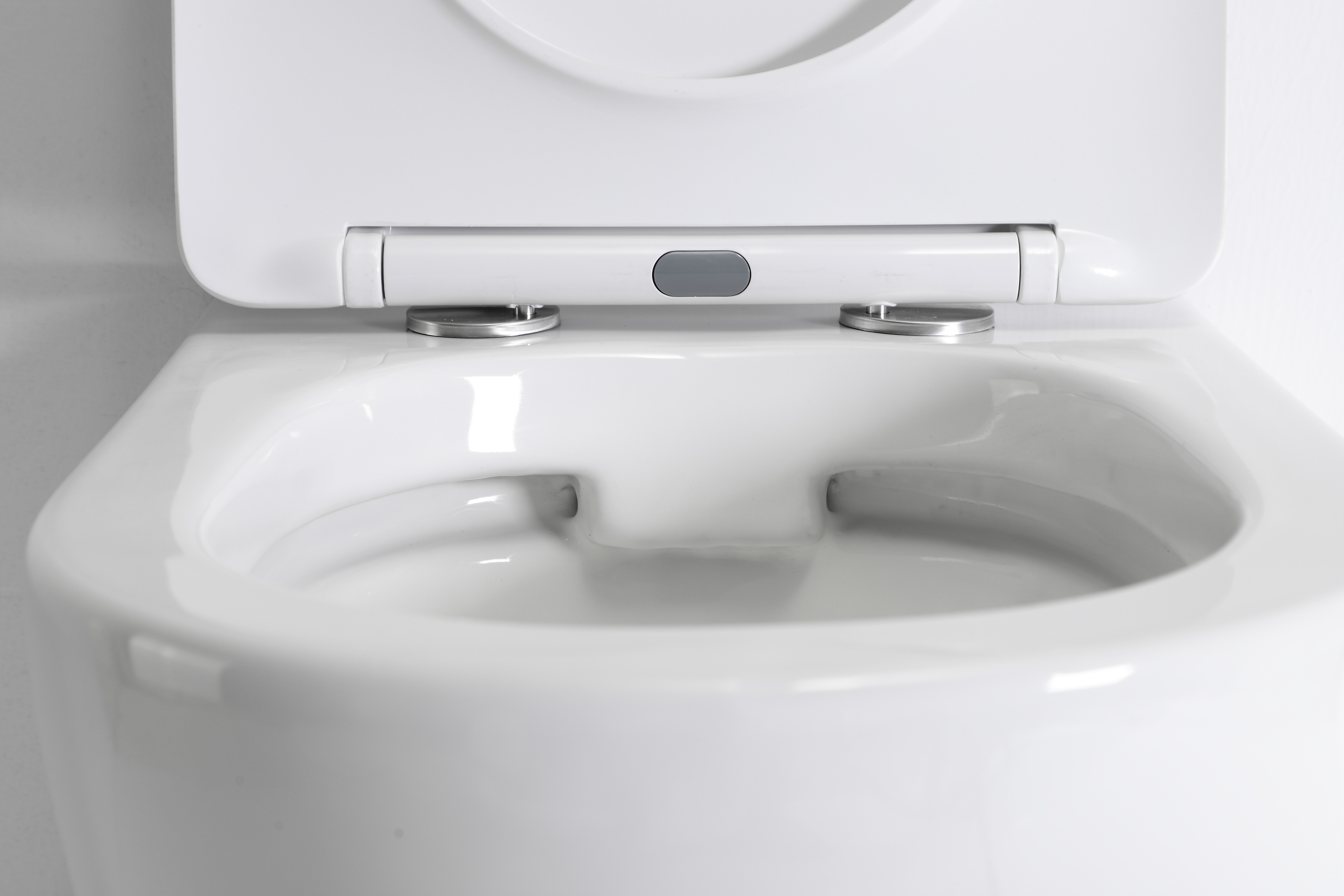 Modern Wall-Hung Toilet 2479D – Elegant Design, Space-Saving & Rimless Hygiene