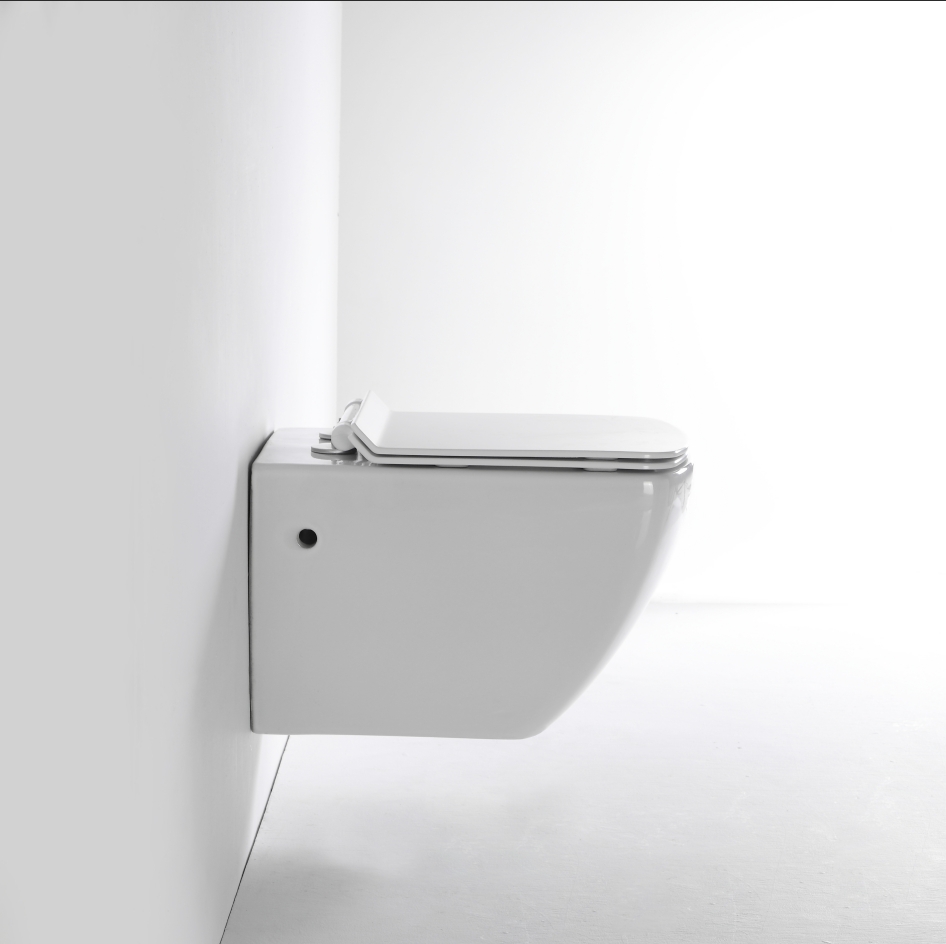 Wall Hung Toilet 2496 - Square Rimless Ceramic Dual Flush WC
