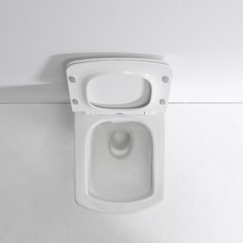 BF2496 Modern Square Wall Hung Toilet – Rimless, Soft Close Seat, Dual Flush