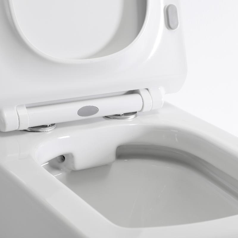 BF2496 Modern Square Wall Hung Toilet – Rimless, Soft Close Seat, Dual Flush