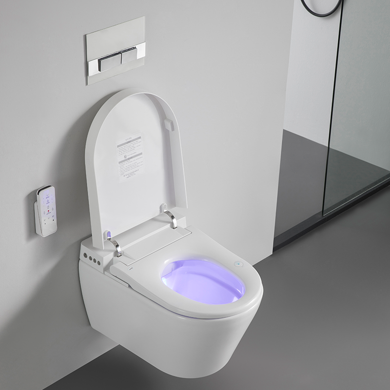 BF2497 Smart Wall Hung Toilet with Remote Control Instant Heating Bidet Toilet