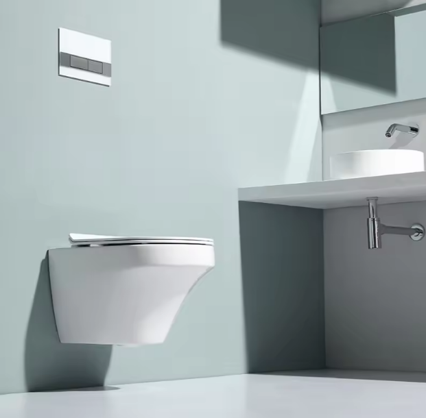 European Style Wall-Mounted Dual Flush Ceramic Toilet - BF2462A