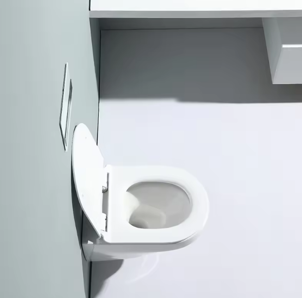 European Style Wall-Mounted Dual Flush Ceramic Toilet - BF2462A