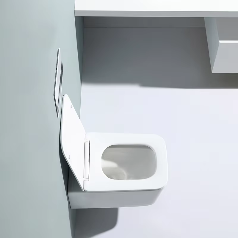 Modern Wall Hung Ceramic Toilet BF2467D-BD Dual Flush Bathroom WC