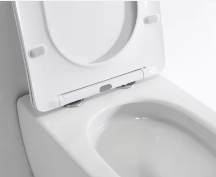 BEFEN BF2416A Wall-Hung Luxury Toilet | Dual-Flush | Compact European Design