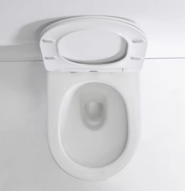 BEFEN BF2416A Wall-Hung Luxury Toilet | Dual-Flush | Compact European Design