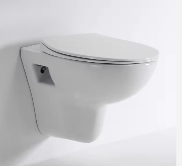 BF2420D Compact Wall-Hung Ceramic Toilet with Soft Close Seat and Dual Flush
