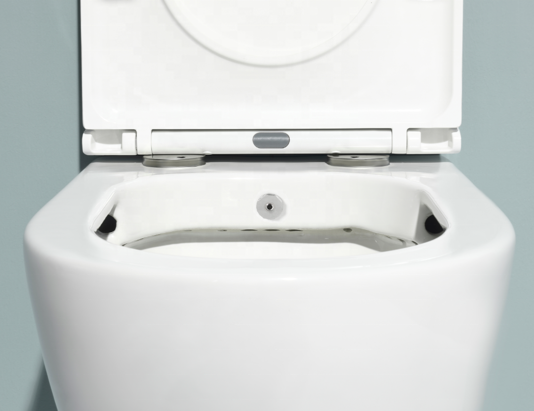 BF2476D-BD Wall-Hung Ceramic Toilet with Shower, 3/6L Washdown Flush, UF Cover, Nano Coating