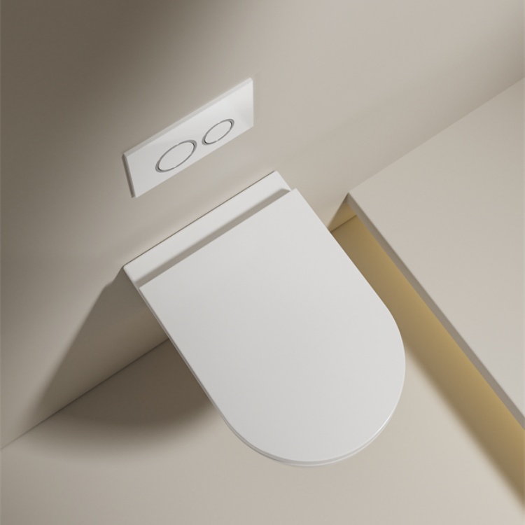 Modern Wall-Hung Toilet 2416D | Space-Saving, Soft-Close Lid, Minimalist Design