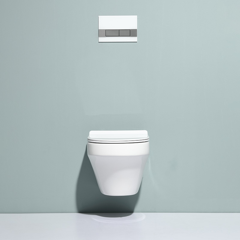 Model 2462D Modern Wall-Hung Toilet