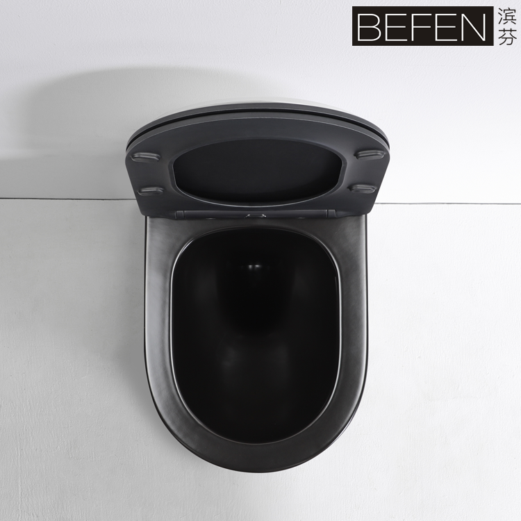 Matte Black Wall-Hung Toilet 2476