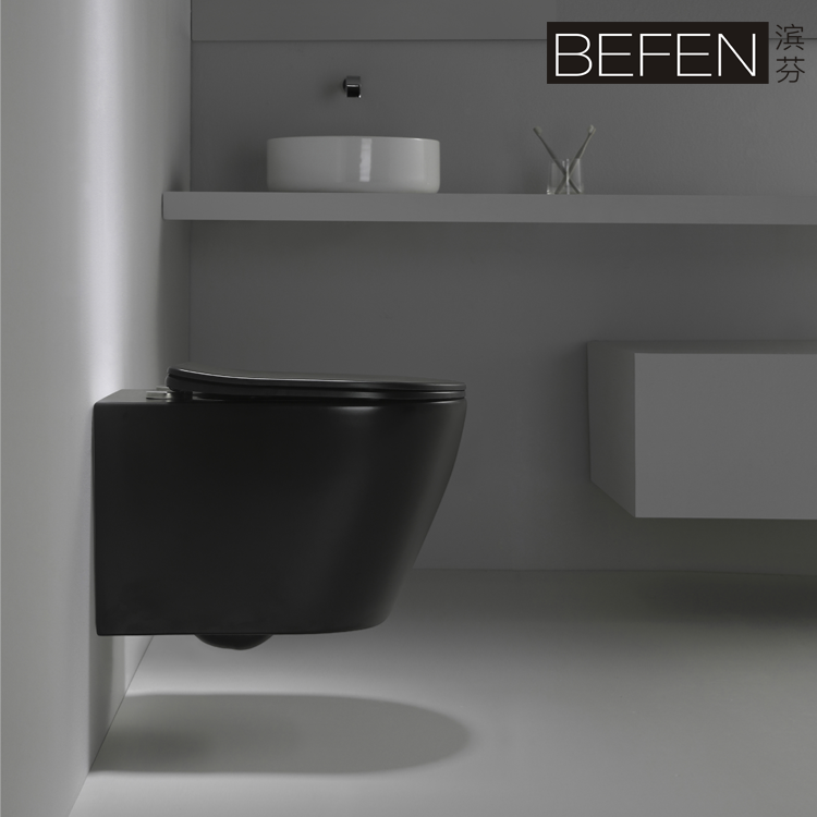 Model 2476 Matte Black Wall Hung Toilet