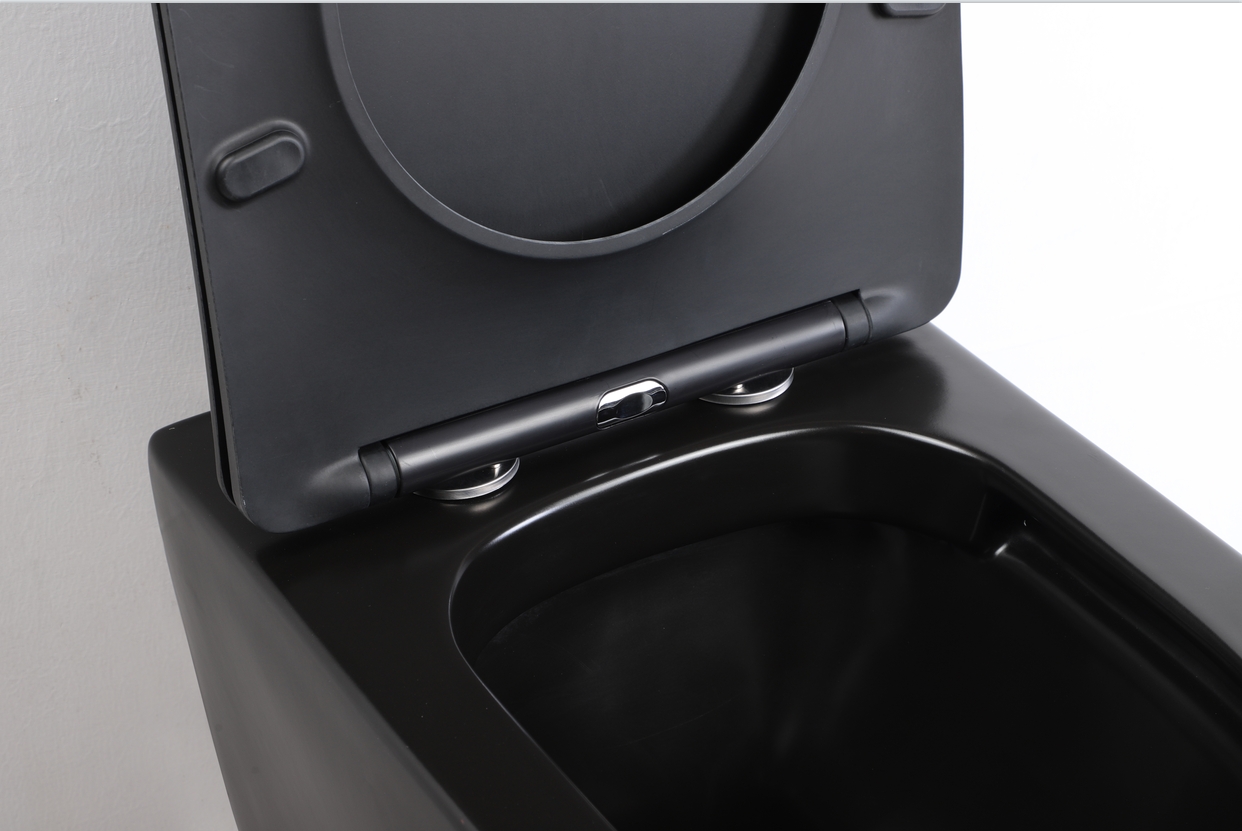 2476DB-MATT Rimless Wall Hung Toilet - Matte Black