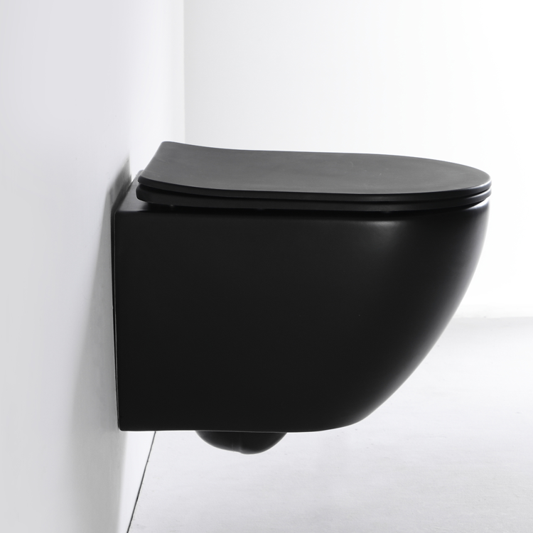 Wall-Hung Rimless Toilet BF2478 DB-MATT Matte Black Ceramic WC with Washdown Flushing