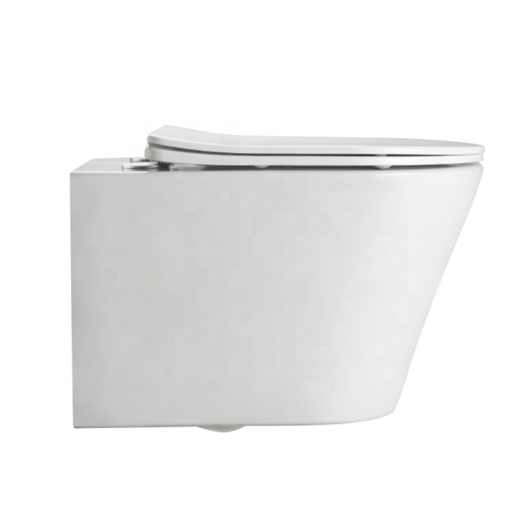2490D Sanita Suspensa sem Borda – Design Moderno e Eficiência Hídrica