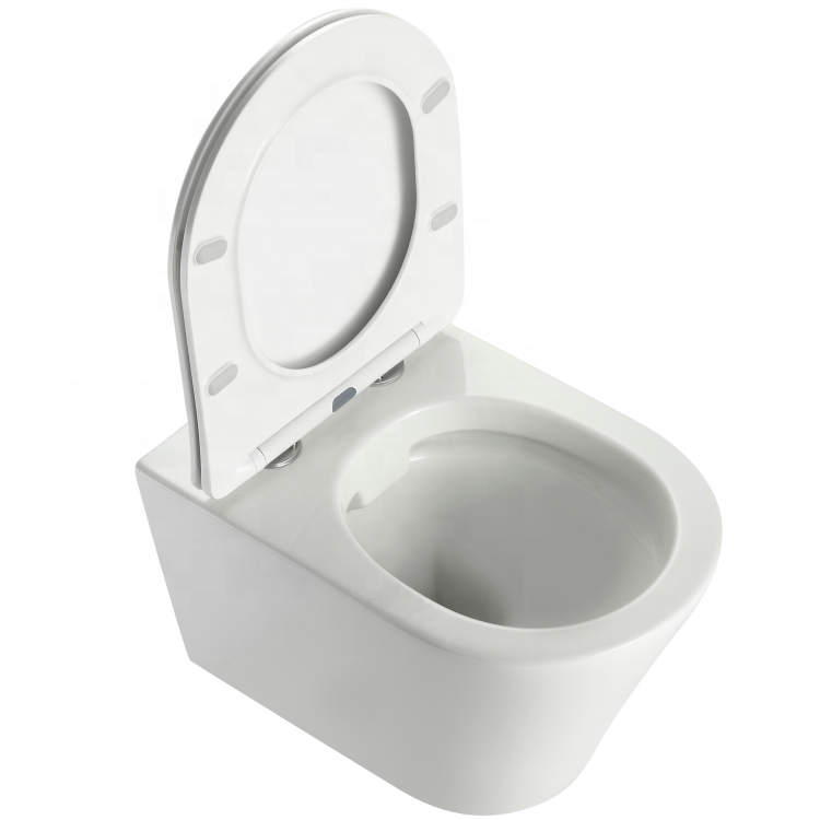 2490D Sanita Suspensa sem Borda – Design Moderno e Eficiência Hídrica