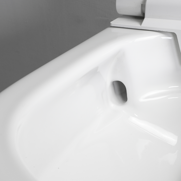 BF2499 Smart Wall Hung Toilet with Sensor Auto Flushing Remote Control Bidet