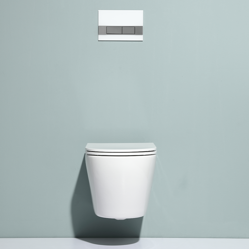 2476E Rimless Wall Hung Toilet with Hygienic Design
