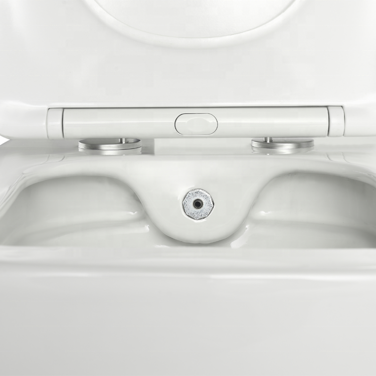 2467D-BD Wandhängendes WC – Modernes, geräuscharmes, randloses Design mit Soft-Close-Sitz