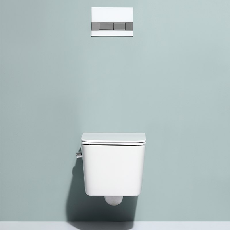 2467D-BD Wandhängendes WC – Modernes, geräuscharmes, randloses Design mit Soft-Close-Sitz